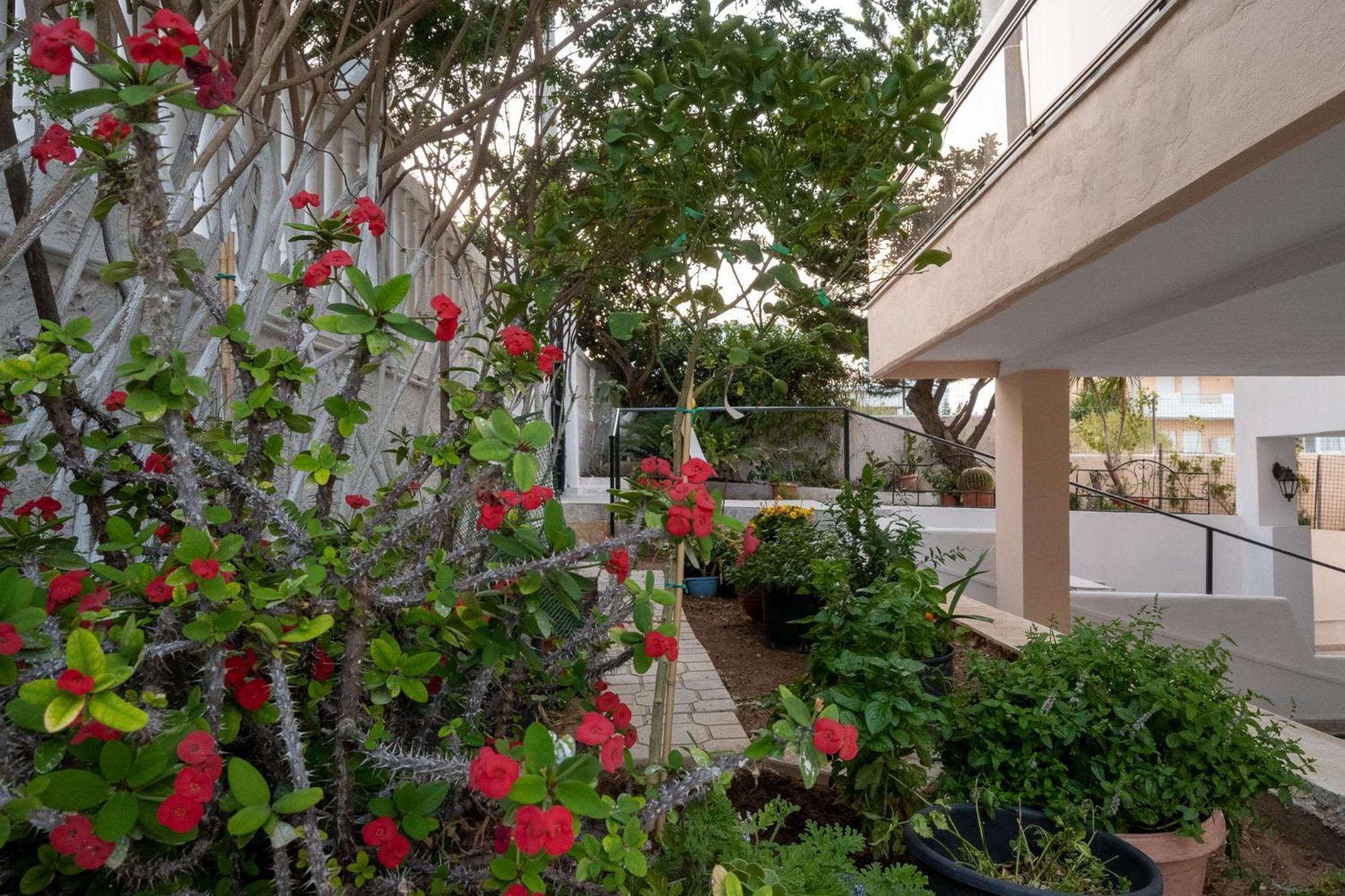 Unbeatable View, Family Apartment Rafína Exterior foto